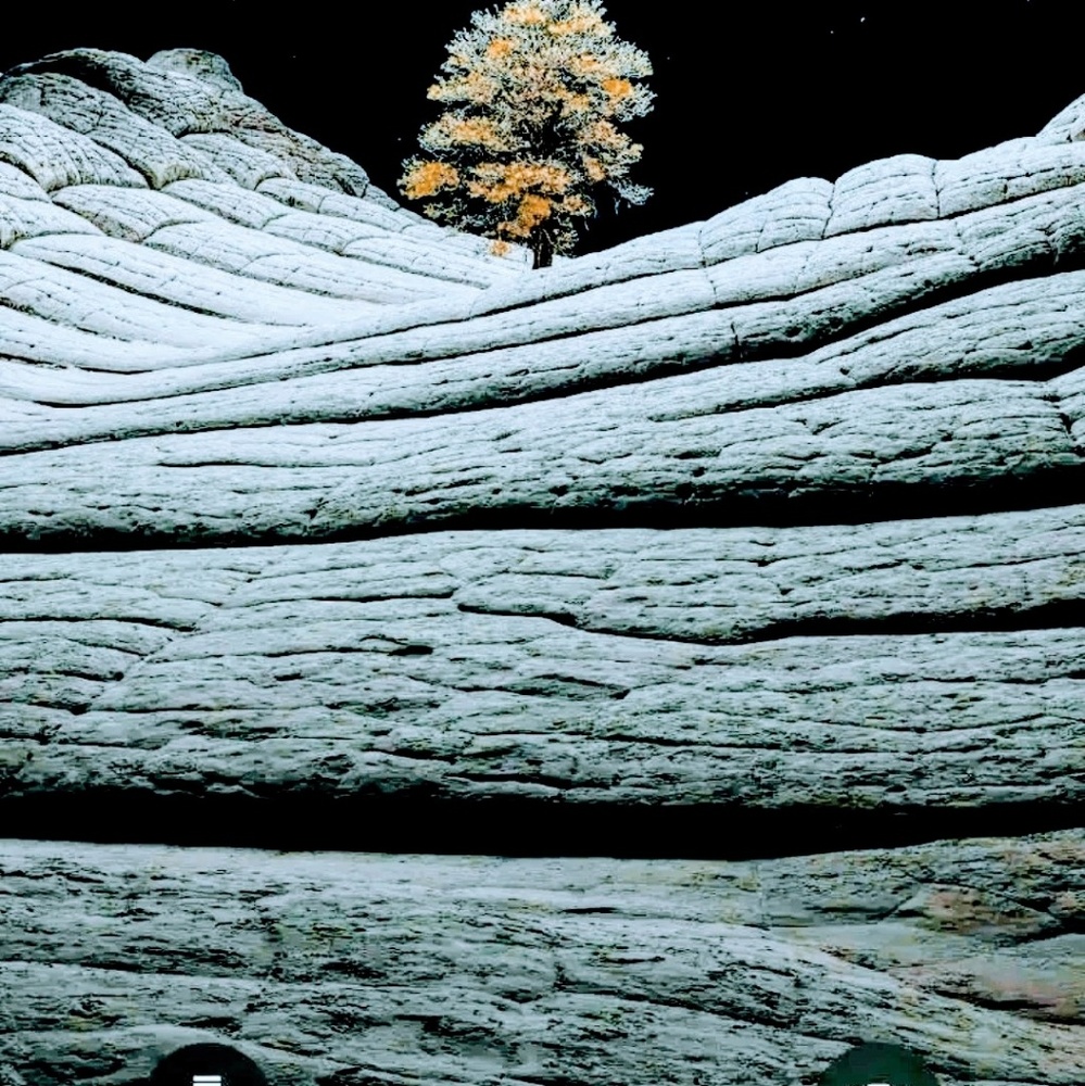 Meet your Posher, Reynaldo